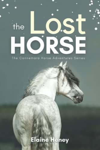 The Lost Horse - Book 6 in the Connemara Horse Adventure Series for Kids | The Perfect Gift for Children age 8-12 (Connemara Adventures, Band 6)