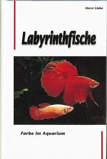 Labyrinthfische. Farbe im Aquarium. Ein Handbuch für Bestimmung, Pflege und Zucht