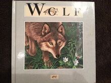 Wolf (My First Nature Books)