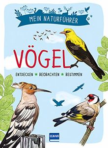 Mein Naturführer: Vögel