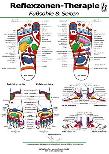 Reflexzonen-Therapie Poster - Fußsohle & Seiten DIN A2 - Neuware