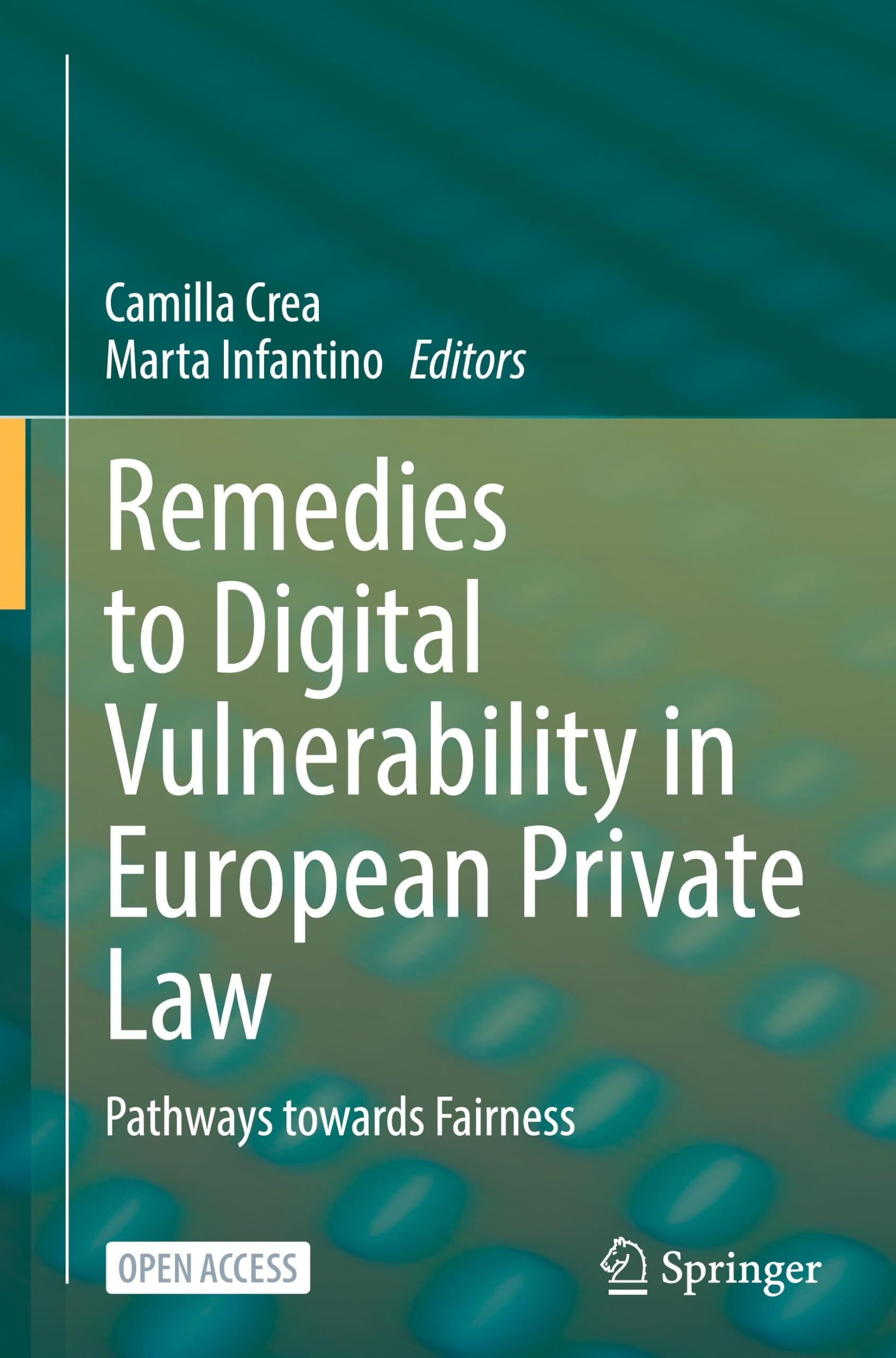Remedies to Digital Vulnerability in European Private Law