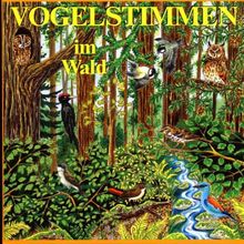 Vogelstimmen im Wald, Ed.4, 1 Audio-CD