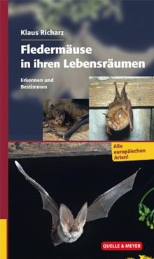 Fledermäuse in ihren Lebensräumen: Erkennen und Bestimmen