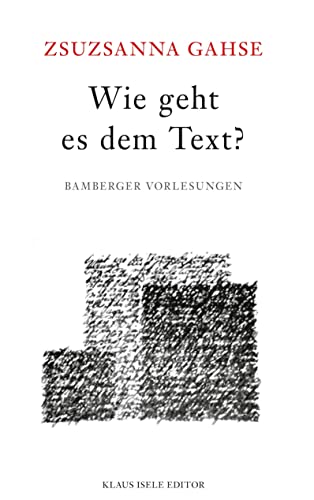 Wie geht es dem Text?: Bamberger Vorlesungen