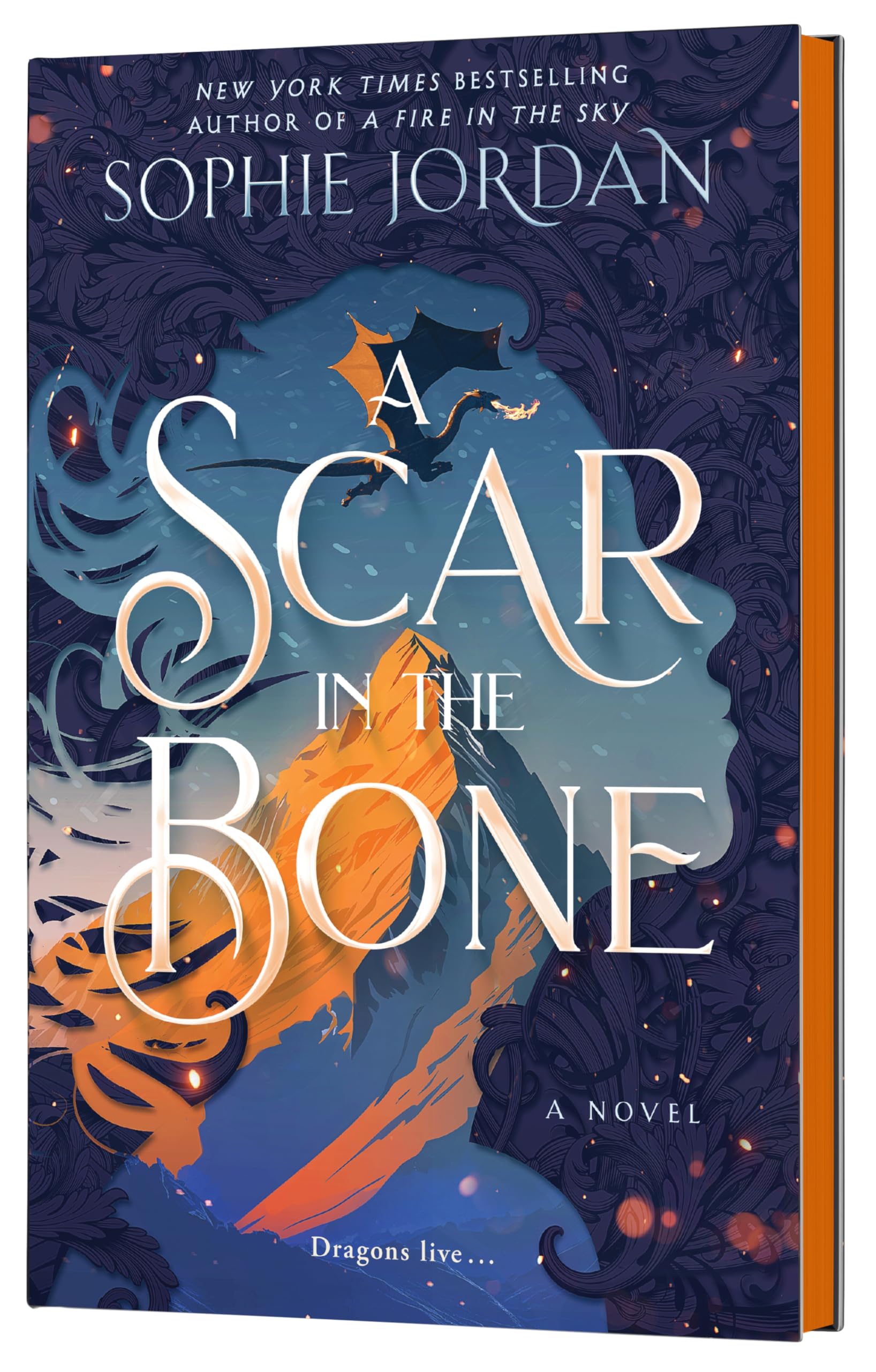 A Scar in the Bone (Deluxe Limited Edition): A Dark Fantasy Romance Novel of Transformation, Love and Loss, Dragonkind, and the Fight to Save Magic (A Fire in the Sky Series, 2)