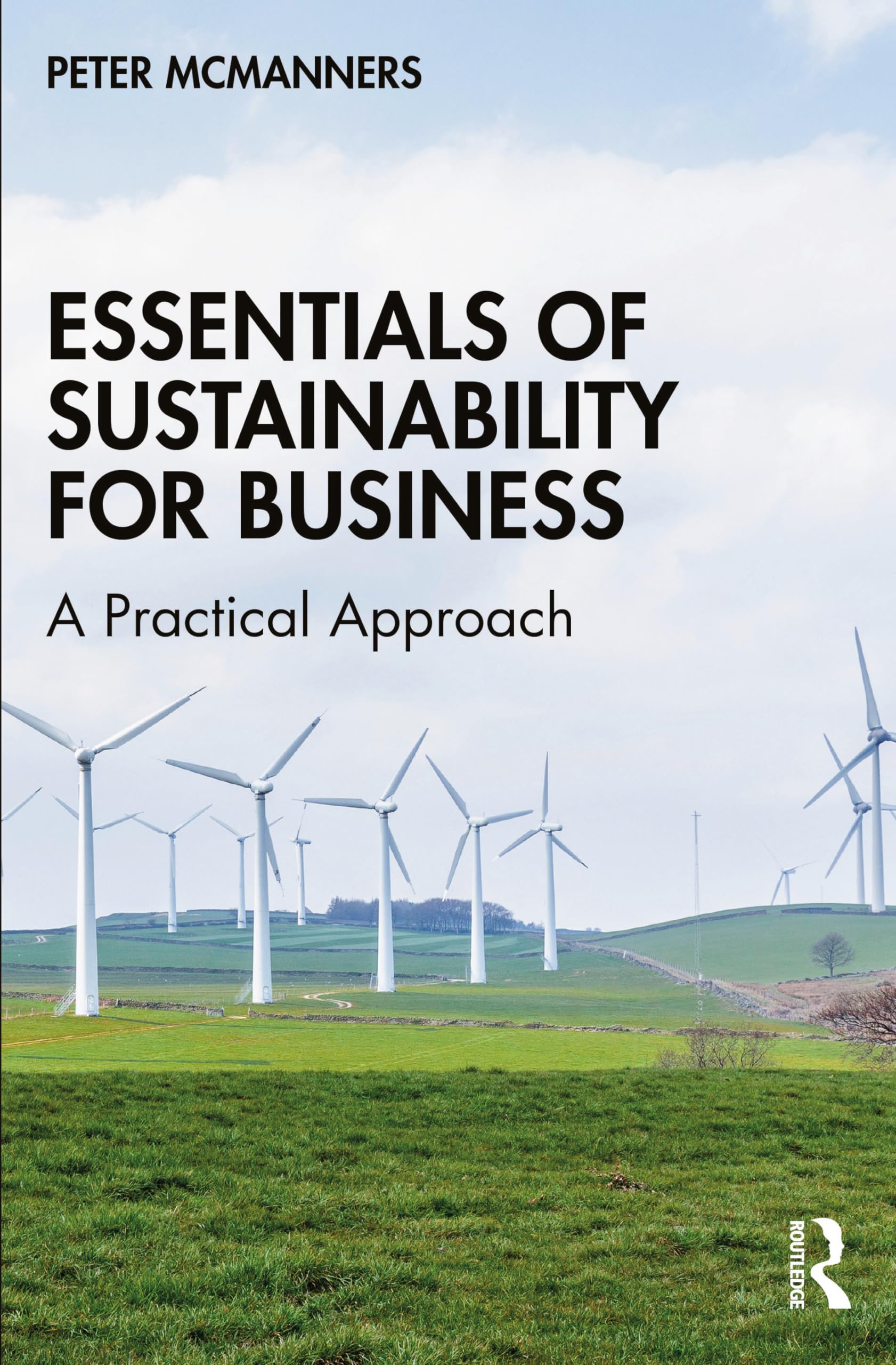 Essentials of Sustainability for Business: A Practical Approach