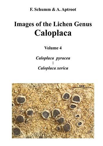 Images of the Lichen Genus Caloplaca, Vol4: Caloplaca pyracea, Caloplaca xerica