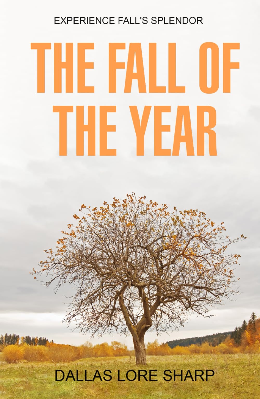 The Fall of the Year