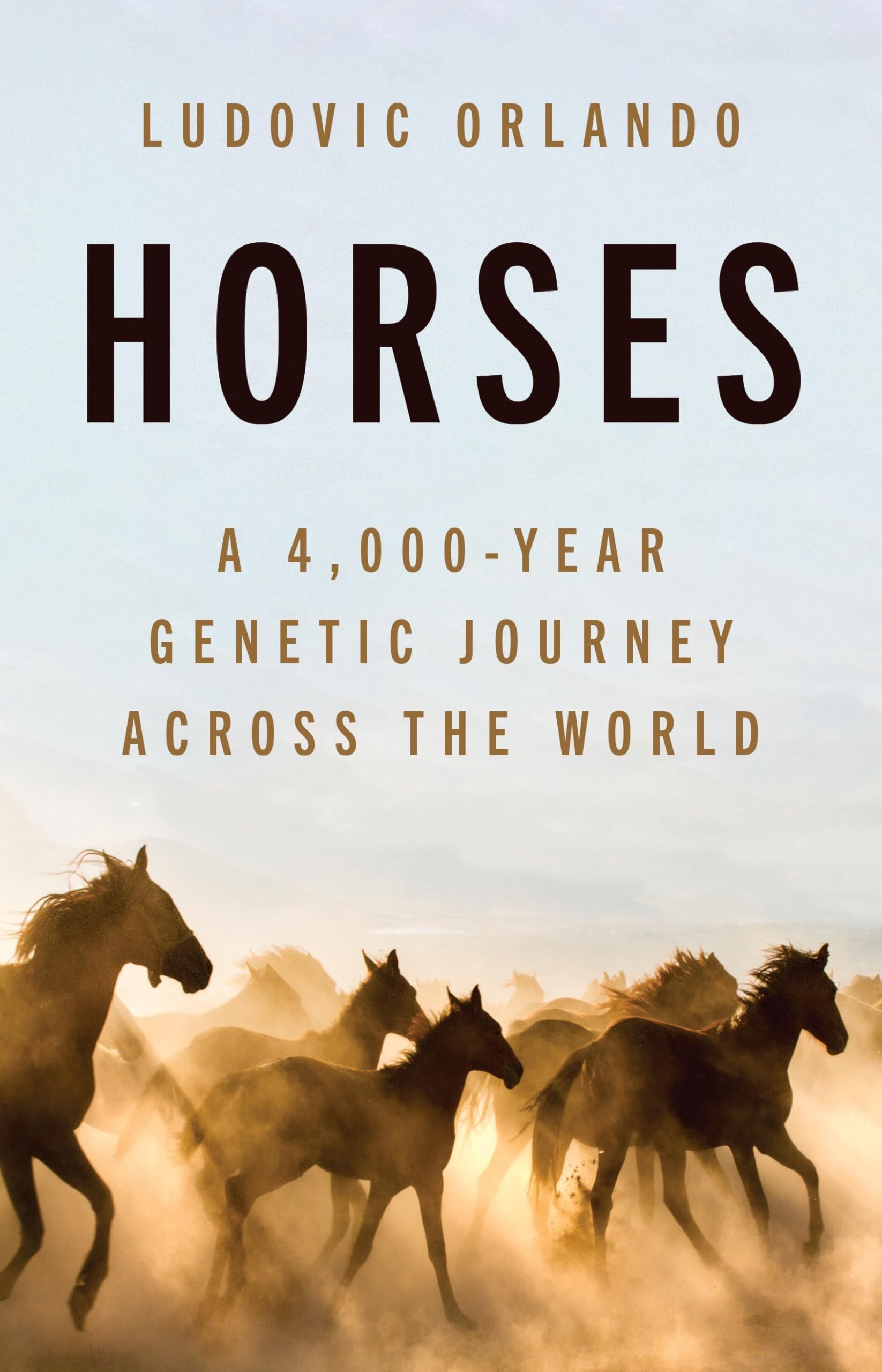 Horses