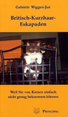 Britisch-Kurzhaar-Eskapaden: Weil Sie von Katzen einfach nicht genug bekommen können