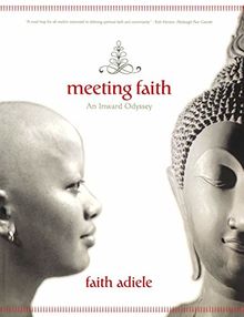 Meeting Faith: The Forest Journals of a Black Buddhist Nun: An Inward Odyssey