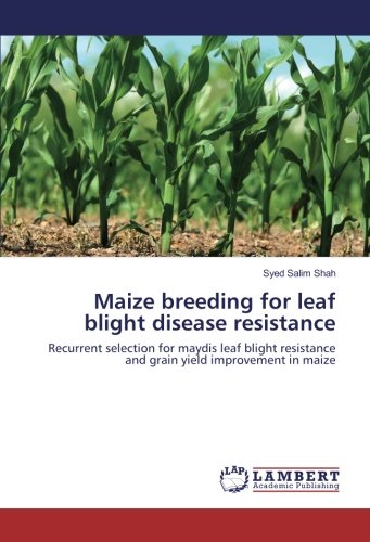 Maize breeding for leaf blight disease resistance: Recurrent selection for maydis leaf blight resistance and grain yield improvement in maize