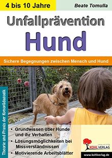 Unfallprävention Hund: Sichere Begegnungen zwischen Mensch und Hund