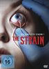The Strain - Die komplette Season 1 [4 DVDs]