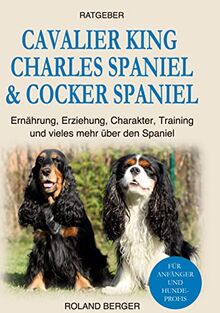 Cavalier King Charles Spaniel & Cocker Spaniel: Ernährung, Erziehung, Charakter, Training und vieles mehr über den Spaniel