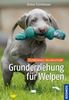 Grunderziehung für Welpen: Fichtlmeiers Hundeschule