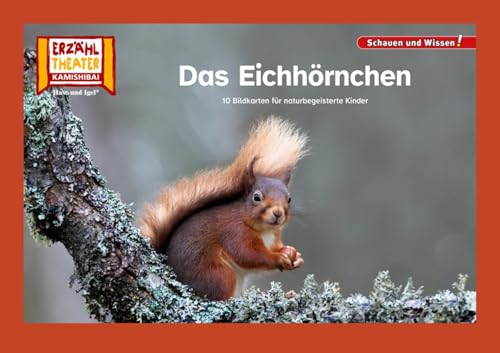 Das Eichhörnchen / Kamishibai Bildkarten: 12 Bildkarten für das Erzähltheater (Schauen und Wissen!)