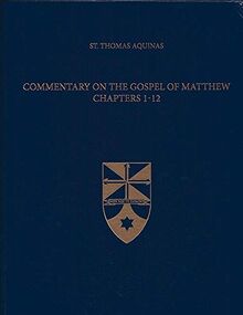 Commentary on the Gospel of Matthew 1-12 (Gospel Commentaries, Band 22)