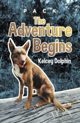 The Adventure Begins