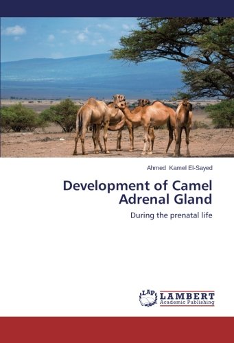 Development of Camel Adrenal Gland: During the prenatal life