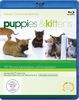 Puppies & Kittens - Hunde und Katzen [Blu-ray] [Special Collector's Edition] [Special Edition]