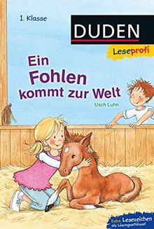 Leseprofi - Ein Fohlen kommt zur Welt, 1. Klasse