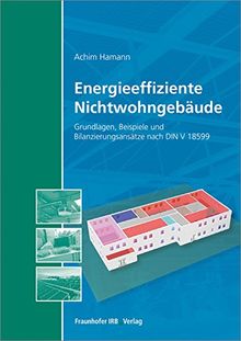 Energieeffiziente Nichtwohngebäude: Grundlagen, Beispiele und Bilanzierungsansätze nach DIN V 18599.