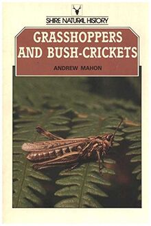 Grasshoppers & Bush Crickets (Shire natural history)