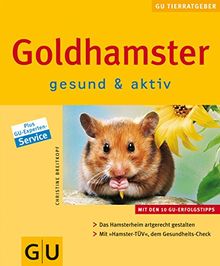 Goldhamster gesund & aktiv