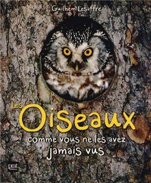 Les oiseaux comme vous ne les avez jamais vus