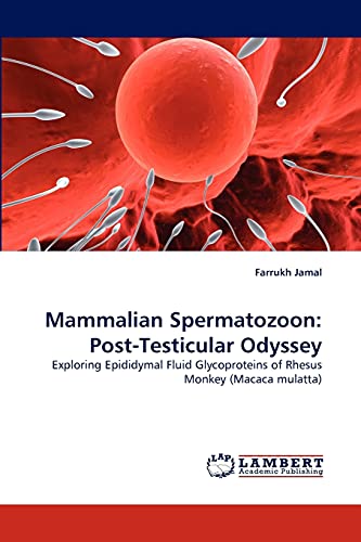 Mammalian Spermatozoon: Post-Testicular Odyssey: Exploring Epididymal Fluid Glycoproteins of Rhesus Monkey (Macaca mulatta)