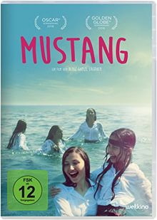 Mustang