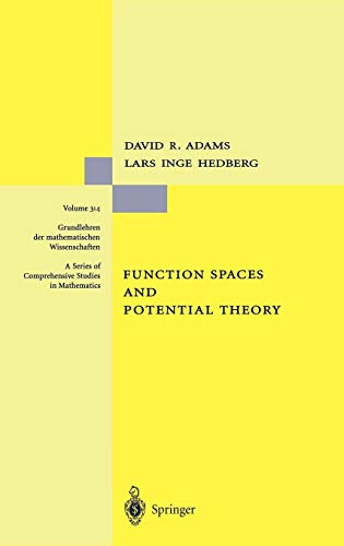 Function Spaces and Potential Theory (Grundlehren der mathematischen Wissenschaften, 314, Band 314)