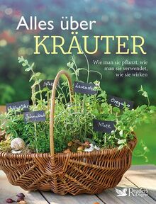 Alles über Kräuter: Wie man sie pflanzt, wie man sie verwendet, wie sie wirken