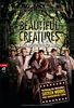 Beautiful Creatures - Eine unsterbliche Liebe: Buch zum Film