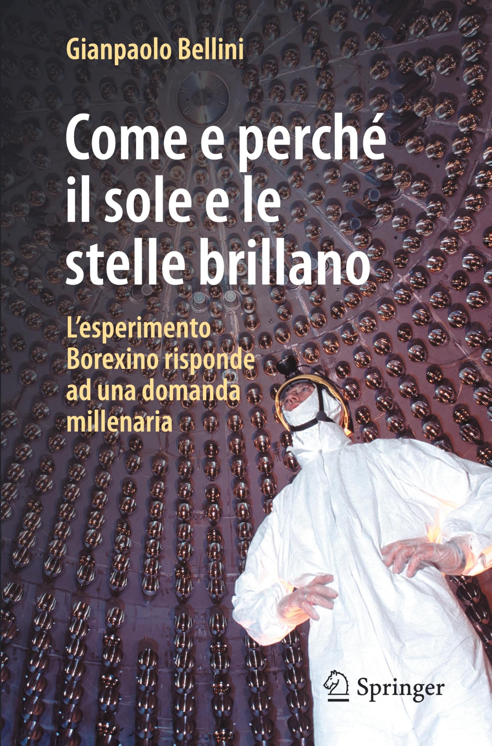 Come e perché il sole e le stelle brillano: L'esperimento Borexino risponde ad una domanda millenaria
