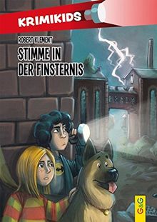 KrimiKids - Stimme in der Finsternis (KrimiKids / Lesemotivation mit einem jungen österreichischen AutorInnenteam)