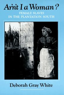 Ar'N't I A Woman: Female Slaves in the Plantation South