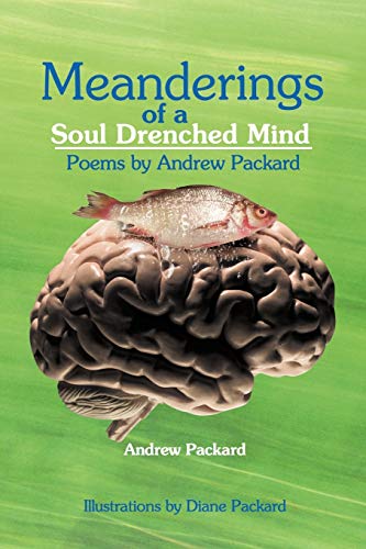 Meanderings Of A Soul Drenched Mind: Poems By Andrew Packard