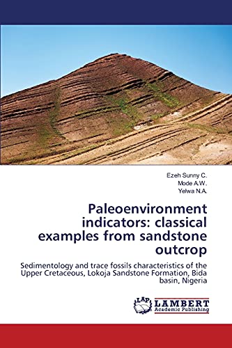 Paleoenvironment indicators: classical examples from sandstone outcrop: Sedimentology and trace fossils characteristics of the Upper Cretaceous, Lokoja Sandstone Formation, Bida basin, Nigeria