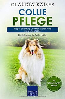 Collie Pflege: Pflege, Ernährung und Krankheiten rund um Deinen Collie