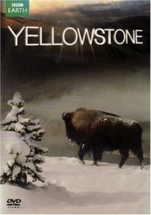 Yellowstone [UK Import]