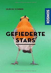 Hier piept´s! - Gefiederte Stars und ihre Songs