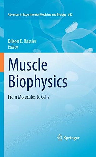 Muscle Biophysics: From Molecules to Cells (Advances in Experimental Medicine and Biology)