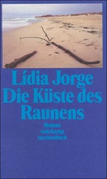 Die Küste des Raunens: Roman (suhrkamp taschenbuch)