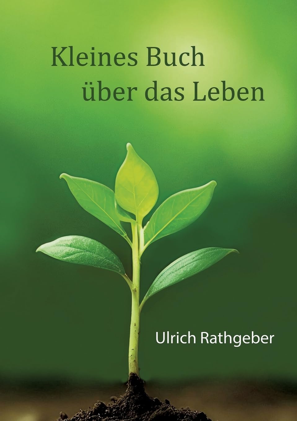 Kleines Buch über das Leben: Das Wesentliche in einfachen Worten
