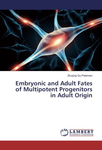 Embryonic and Adult Fates of Multipotent Progenitors in Adult Origin