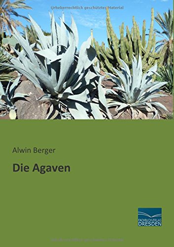 Die Agaven