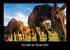 Die Welt der Pferde 2022 Fotokalender DIN A3: Monatskalender mit Bild-Motiven von Haustieren, Bauernhof, wilden Tieren und Raubtieren